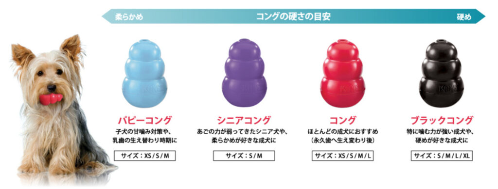 コング 硬さ