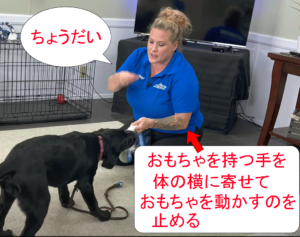 おもちゃを動かすのとやめる