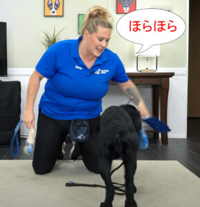 おもちゃを動かす3