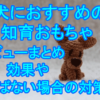 eye-catch-puzzle-toy
