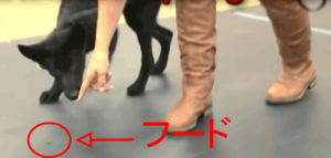最初のおやつの場所に連れて行く