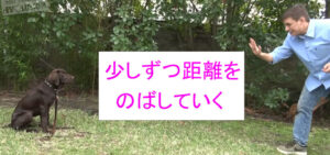 少しずつ距離をのばしていく。