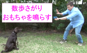 数歩下がりおもちゃを鳴らす。
