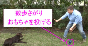 数歩下がりおもちゃを投げる。