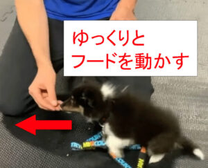 ゆっくりとフードを動かす