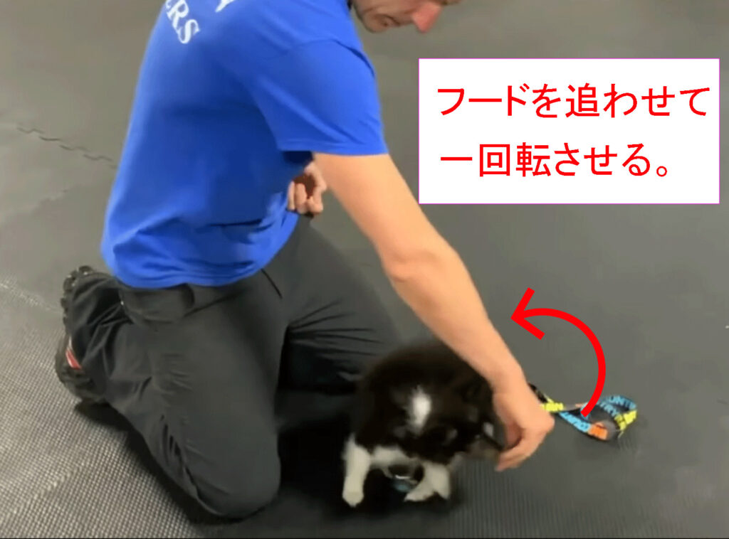 フードを追わせて1回転させる