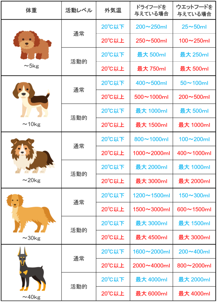 犬が1日に飲むべき水の量