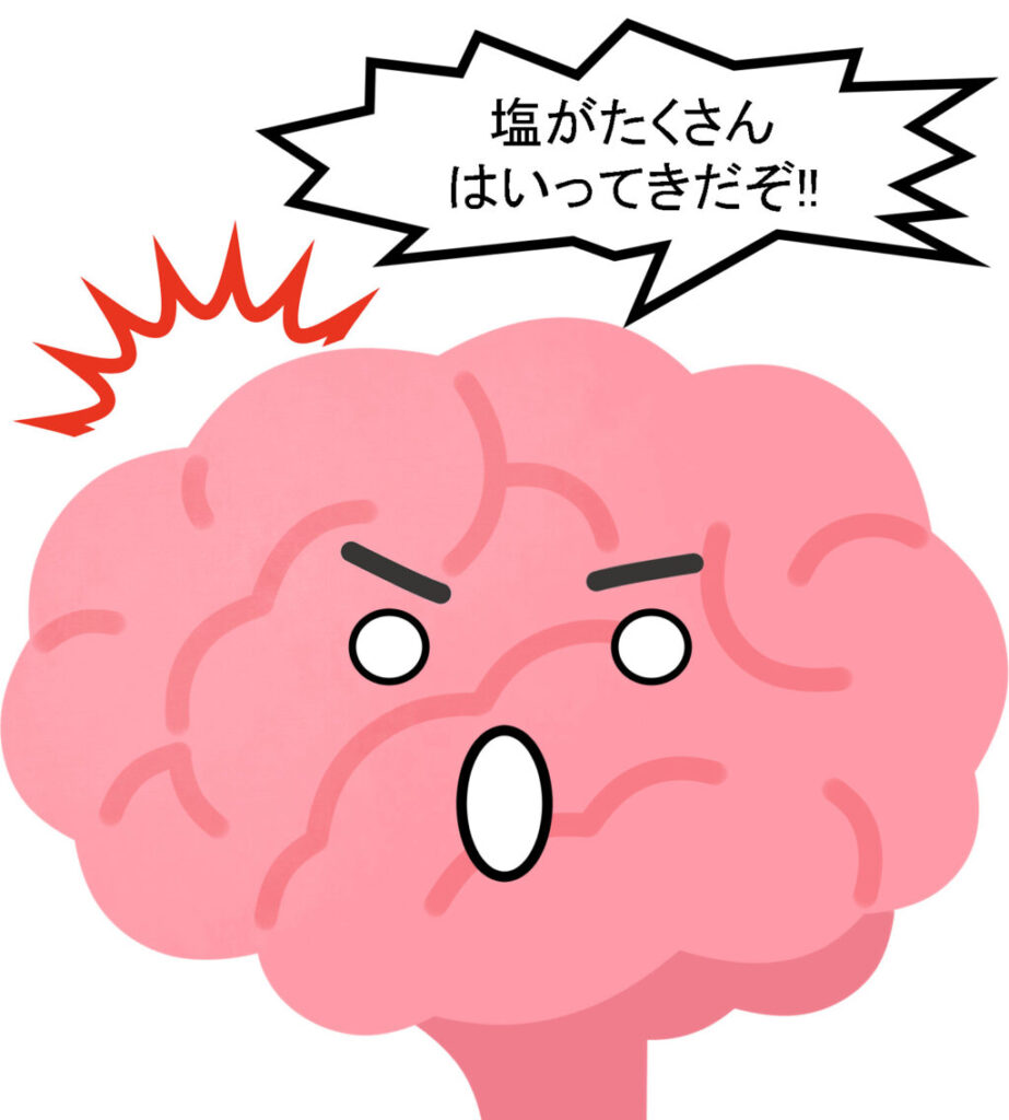 ナトリウムにあせる脳